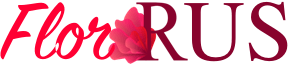 Доставка цветов Репино 